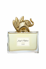 Cargar imagen en el visor de la galería, Perfume Similar a Kenzo Jungle L'Éléphant | Refan Nº145 